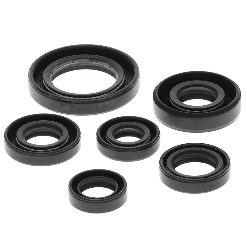 OIL SEAL KIT TRX 300EX 1993-08