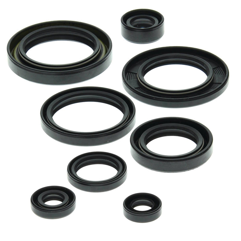 OIL SEAL KIT LT 500R 1988-90