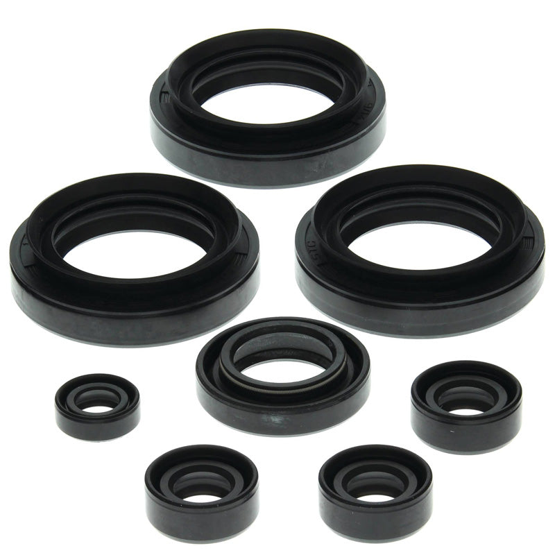 OIL SEAL KIT K.QUAD LTF4WDX/300F 91-02