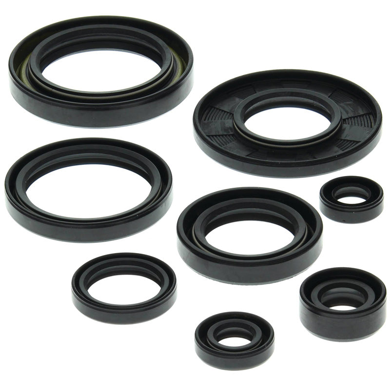 OIL SEAL KIT LT 500R 1987