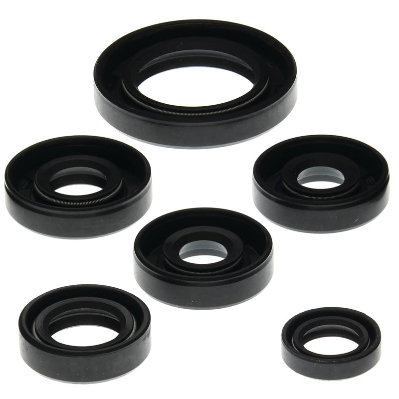 OIL SEAL KIT BRP 650 4 CYCLE DS 02-06