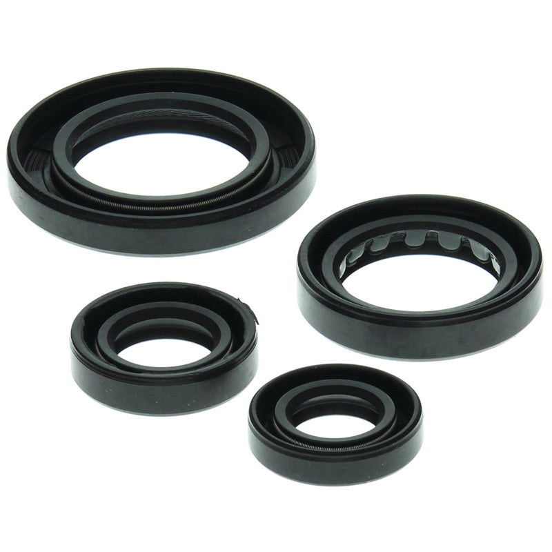 OIL SEAL KIT TRX 250  1997-01
