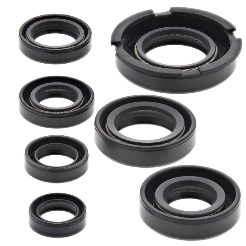 OIL SEAL KIT XR250L 91-96/250R 86-95