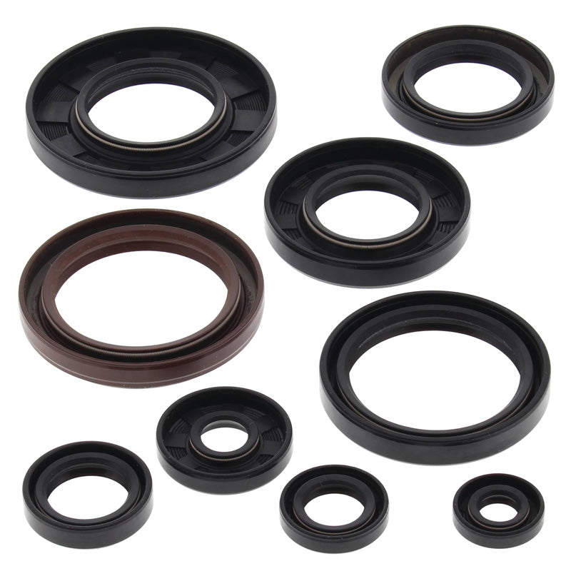 OIL SEAL KIT 660 GRIZZLY/RHINO 02-08