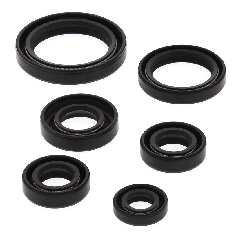 OIL SEAL KIT KEF300 LAKOTA 95-02