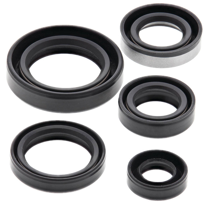 OIL SEAL KIT DRZ250 2001-07