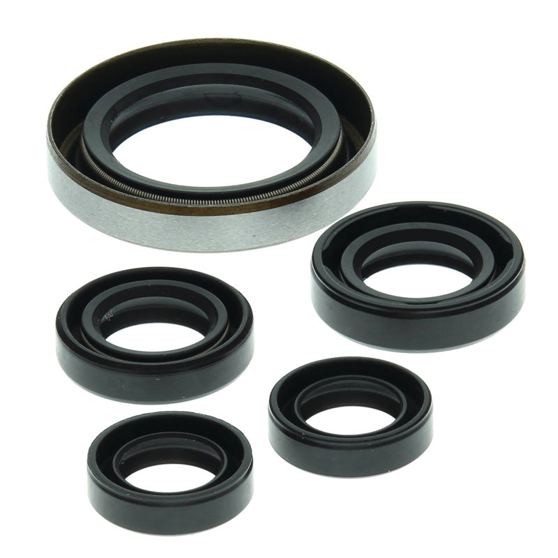 OIL SEAL KIT 500 PRED 03-07/OUTLAW 06-07