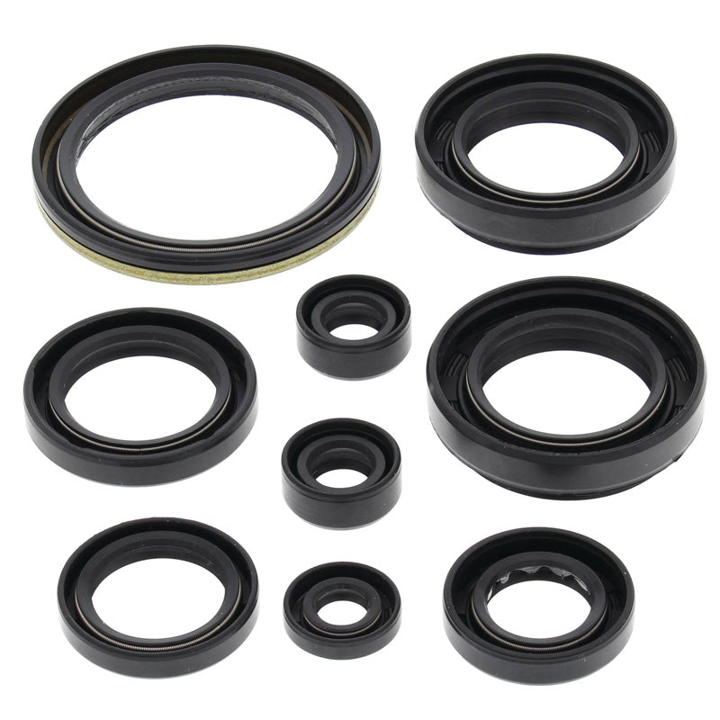 OIL SEAL KIT A.C. 500 AUTO 00-09/LTA500 00-07