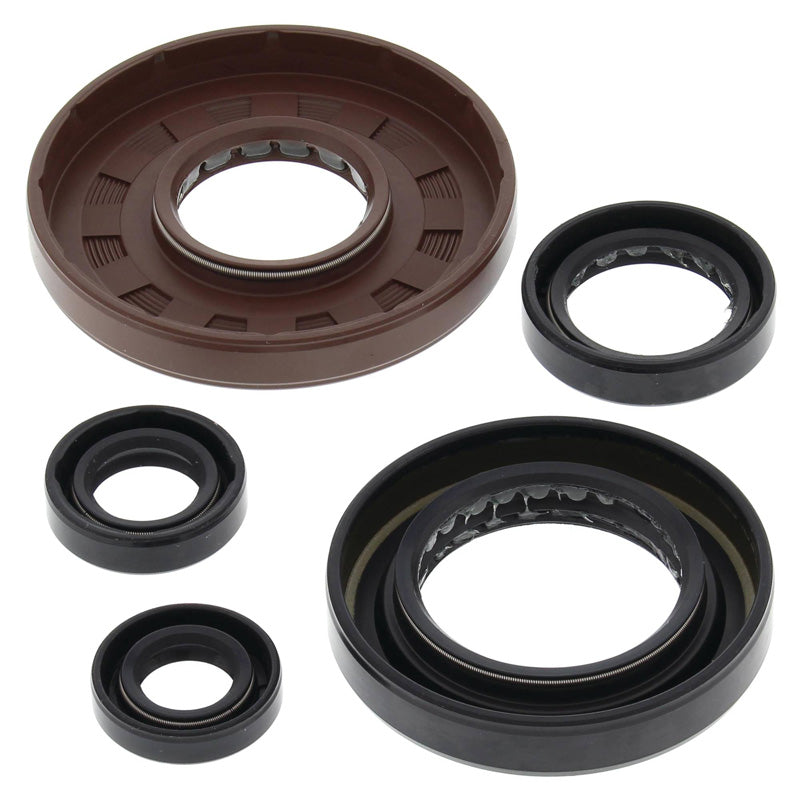 OIL SEAL KIT TRX500FMTM 05-09