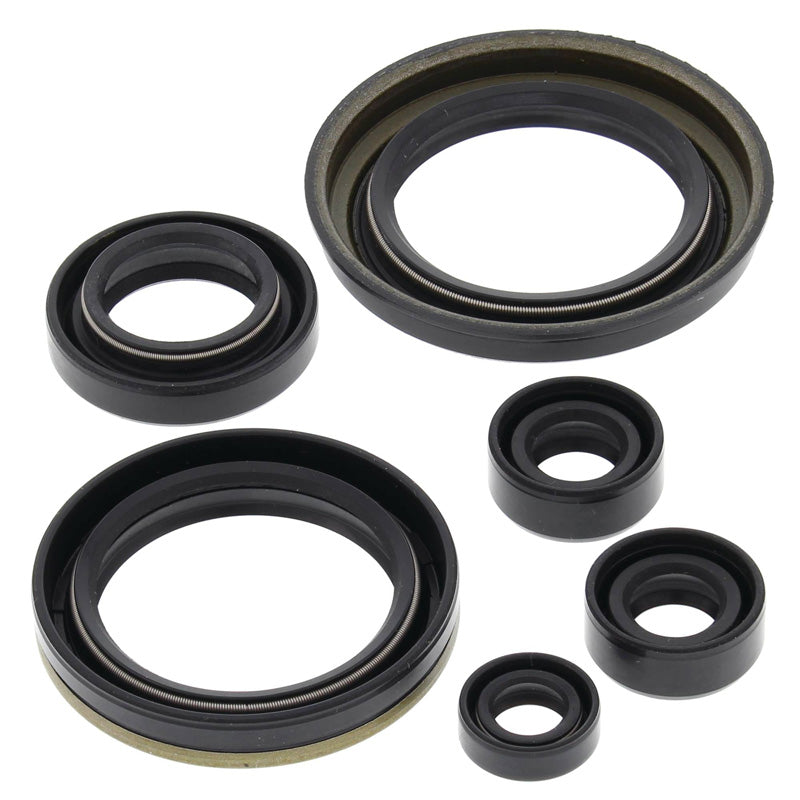 OIL SEAL KIT LT230E 87-93