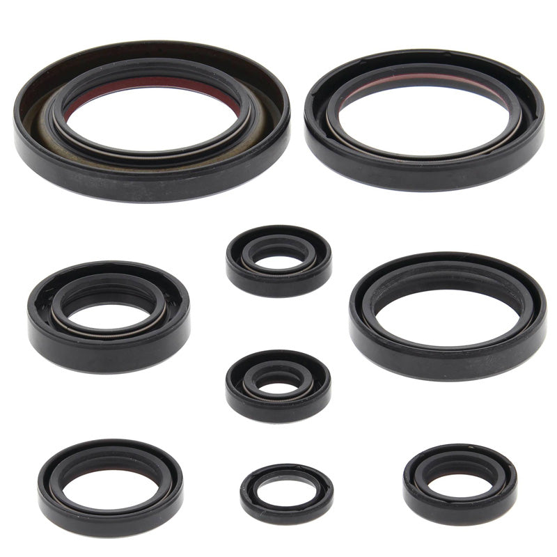 OIL SEAL KIT TRX450RER 06-09
