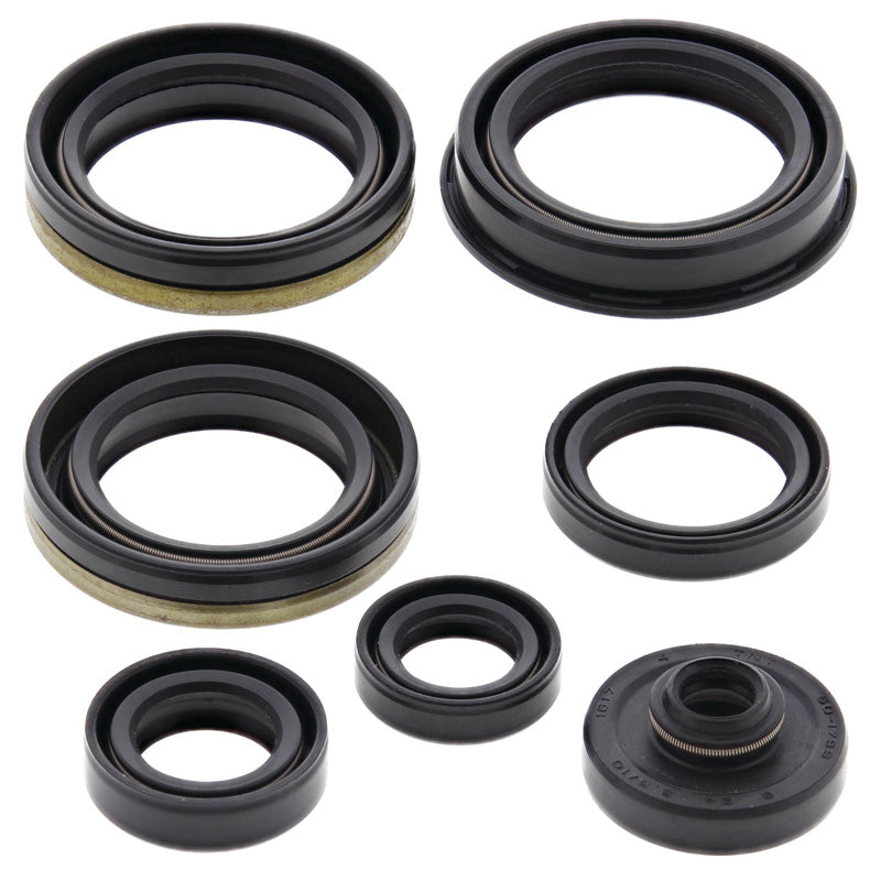 OIL SEAL KIT RM250 2006-08