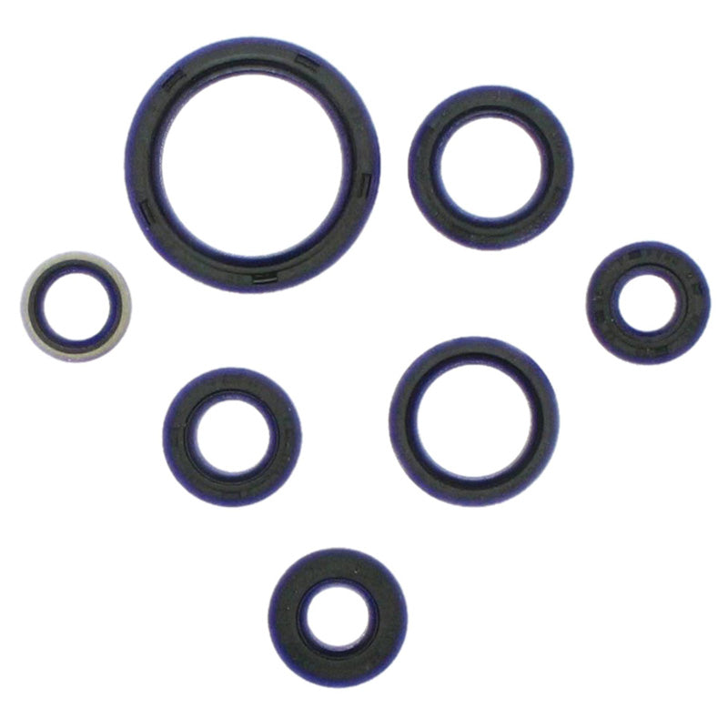 %OIL SEAL KIT KSF250 MOJAVE 87-04