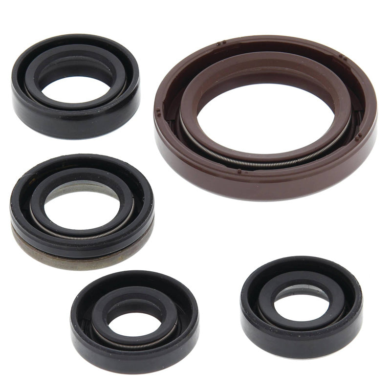 OIL SEAL KIT LTR450 06-09