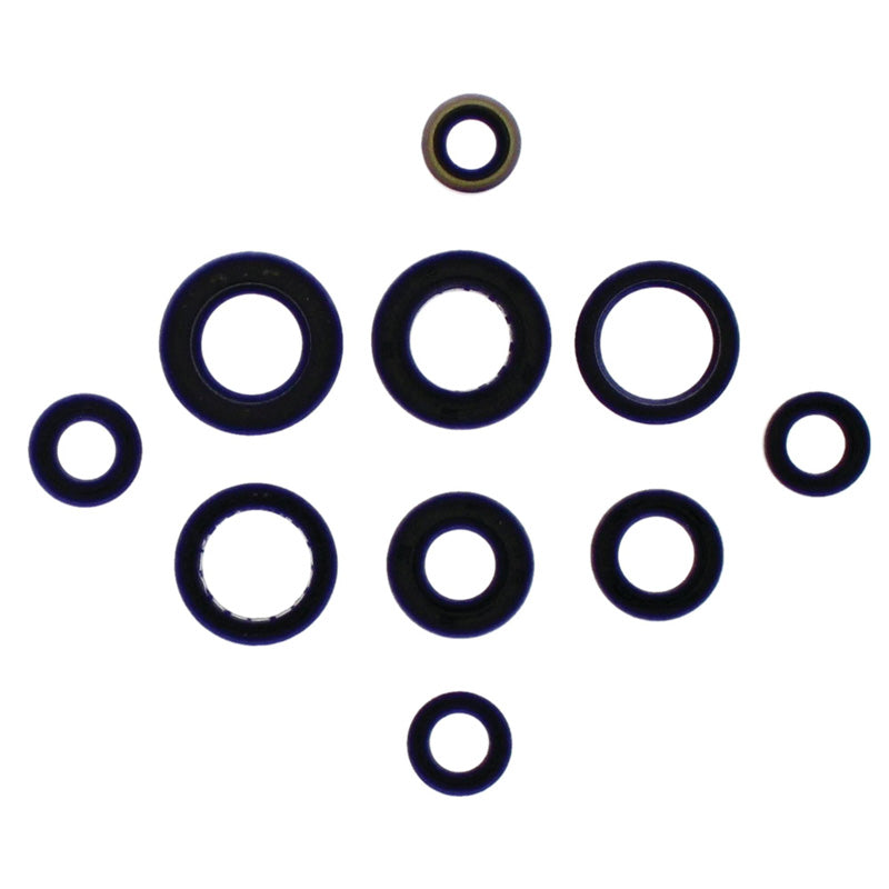 OIL SEAL KIT ATC200XS MANUAL START 81-86
