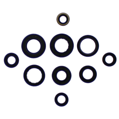 OIL SEAL KIT ATC200XS MANUAL START 81-86