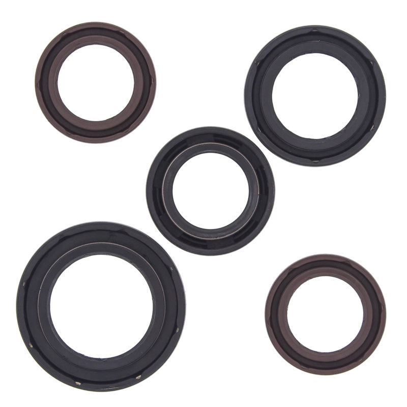OIL SEAL KIT BRP