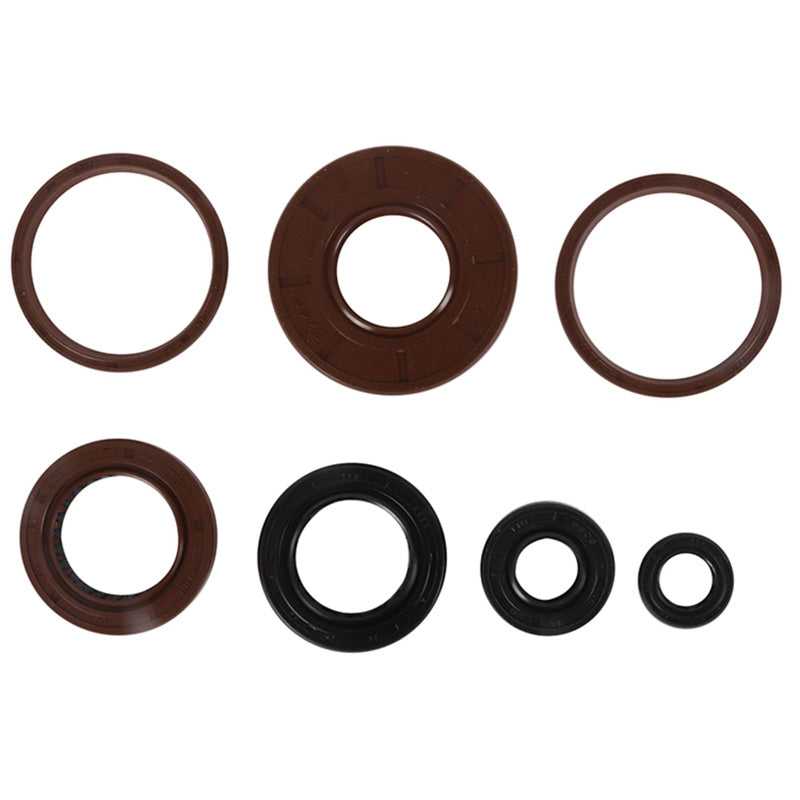 OIL SEAL KIT ARCTIC CAT 300 DVX 11-15