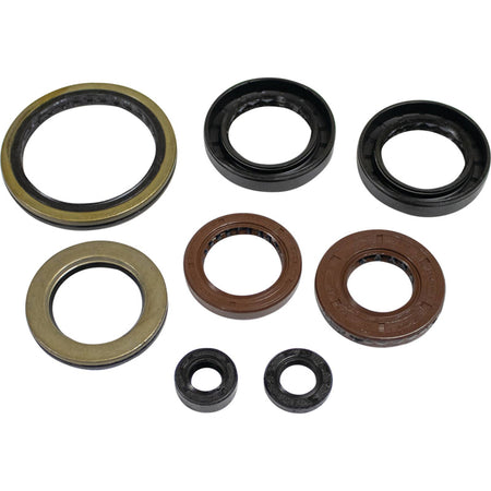 OIL SEAL KIT A.C. 366 AUTO 08-10