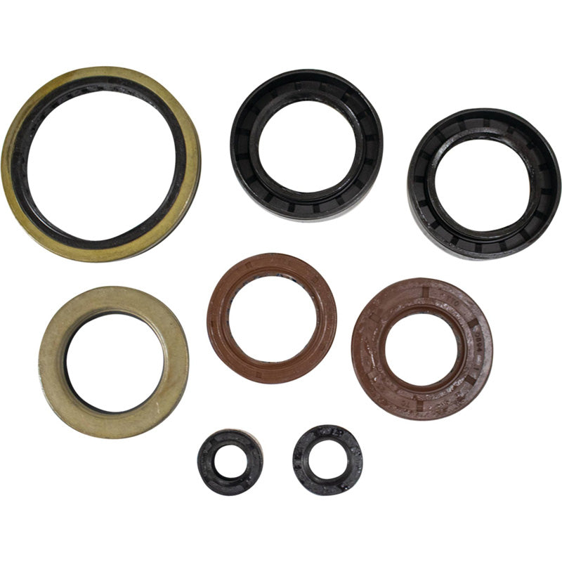 OIL SEAL KIT A.C. 366 AUTO 08-10