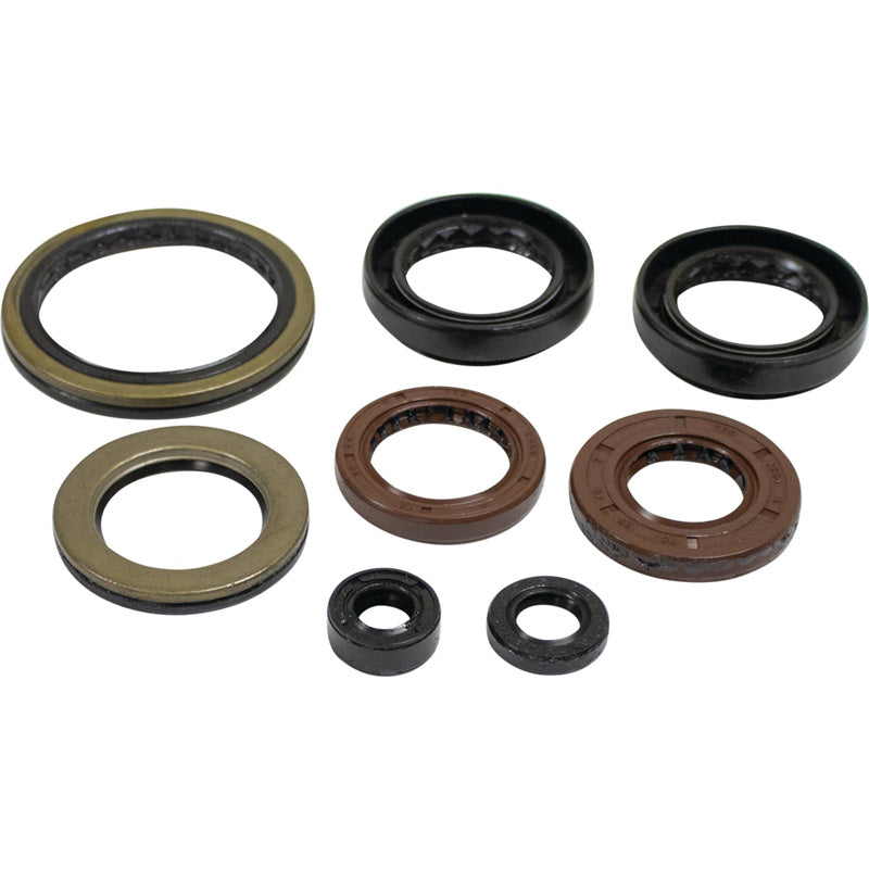OIL SEAL KIT A.C. 366 AUTO 08-10