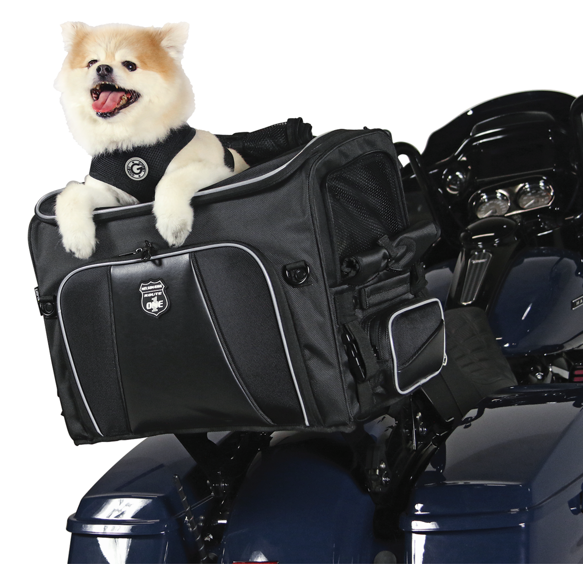 ROUTE 1 ROVER PET CARRIER