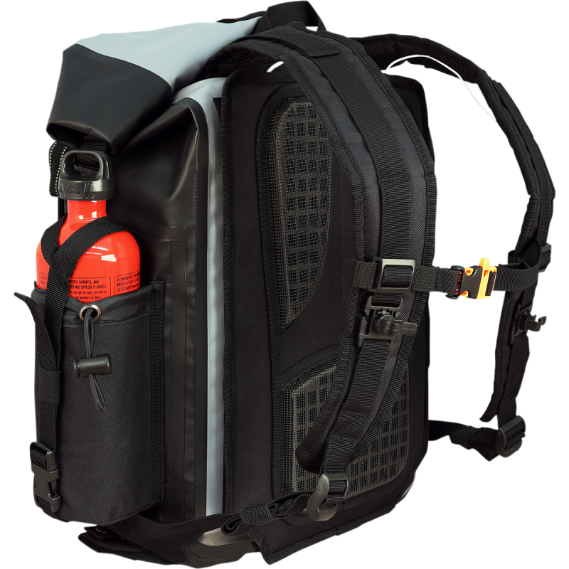 Back