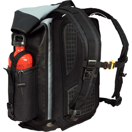 Back