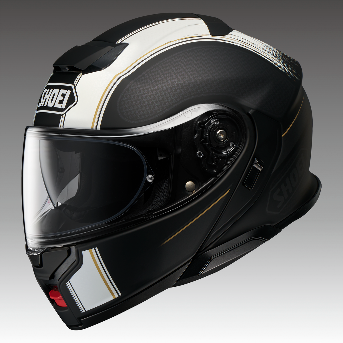 NEOTEC 3 SATORI TC-5 L