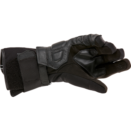 Back